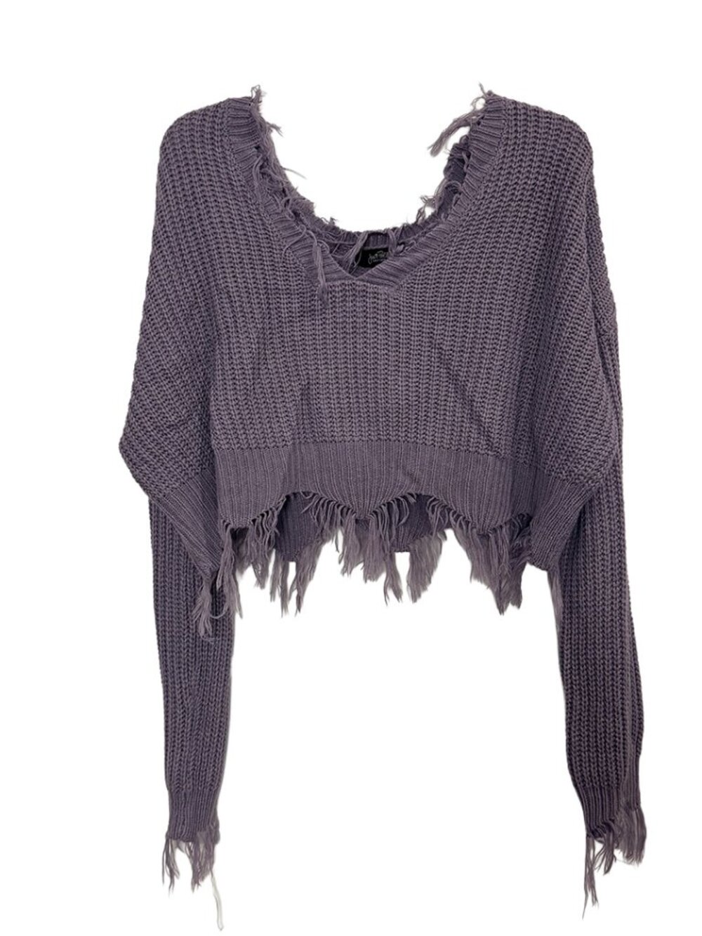 Just Polly Women’s Purple Distressed Cropped Sweater Large Boho Fringe Knit Top